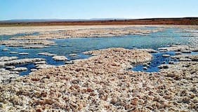 Corfo deja sin efecto beneficio otorgado a BYD Chile: “La empresa no dio cumplimiento al inicio de la operación del proyecto”