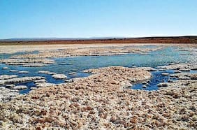 Corfo deja sin efecto beneficio otorgado a BYD Chile: “La empresa no dio cumplimiento al inicio de la operación del proyecto”