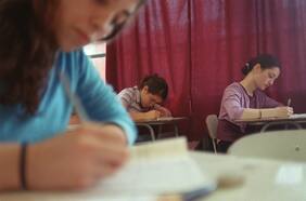 Ingeniería en Gestión Pública y Química y Farmacia: Las carreras con mayor empleabilidad en Chile