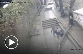 Adolescente de 14 años sufre graves lesiones tras caída de árbol en medio de sistema frontal