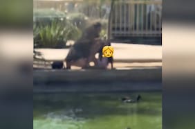 Captan a mujer sacando a un pato desde la laguna del Mall Plaza Oeste