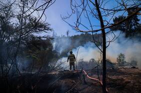 Incendios forestales en el país se duplicaron este fin de semana: en Melipilla suspendieron clases y fuego en Viña del Mar alcanza terrenos de universidad