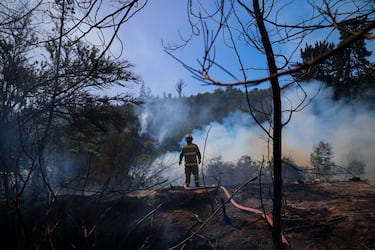 Alerta Roja por incendio forestal en el Jardín Botánico de Viña del Mar.
FOTO: LEONARDO RUBILAR CHANDIA/AGENCIAUNO