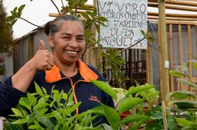 El Jardín de la Abuela: Un vivero sustentable, producción local de plantas y verduras en caleta Caramucho