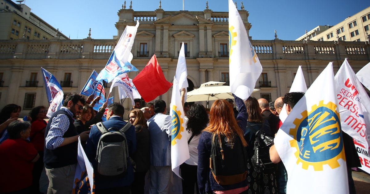 CUT y ANEF exigen la salida de Antonia Rozas - La Tercera