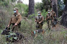 “Vimos los comentarios (en Facebook) que nos andaban buscando y bajamos”: el relato del mayor de los jóvenes extraviados en Petorca