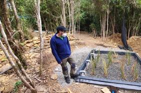 Depuran aguas residuales junto a río Cruces con humedales artificiales