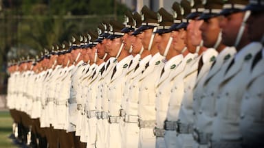 Postulaciones a Escuela de Carabineros alcanzan la cifra más alta en 20 años