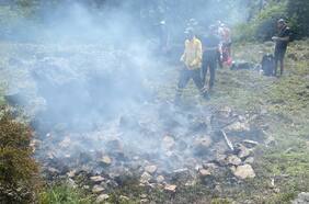 Tras causar incendio en Parque Nacional Patagonia: turista japonés recibe multa y prohibición de ingreso a parques por tres años