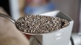 ¿Qué tan cierto es que el agua de chía, popular en las redes sociales, es buena para la salud y para bajar de peso?