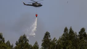 De Biobío a Maule: las regiones más vapuleadas por los incendios forestales durante la temporada 2025-2026