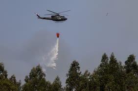 De Biobío a Maule: las regiones más vapuleadas por los incendios forestales durante la temporada 2025-2026