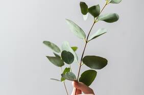 Convertirse al minimalismo