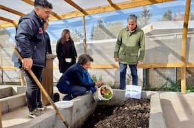 Gobierno ingresa proyecto de ley que promueve el reciclaje de residuos orgánicos