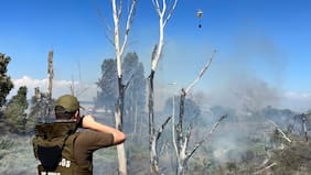 Incendios forestales en la zona central: condiciones climáticas adversas marcan este sábado