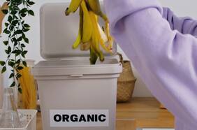 Un 5% de la energía para nuestro país se podría obtener de los residuos orgánicos