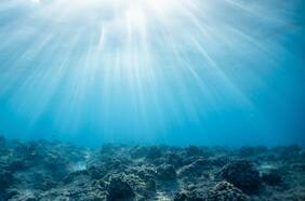 Anuncian alianza mundial para posicionar a las áreas marinas protegidas como herramientas clave para enfrentar la crisis climática