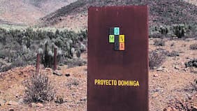 Parlamentarios oficialistas valoran fallo por Dominga y acusan intento de imponer el proyecto “fuera de la ley”