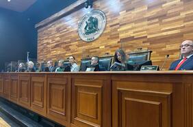 Las razones del TC para rechazar requerimientos por indultos otorgados por Boric y los argumentos de quienes votaron a favor