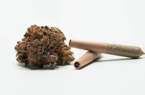 ¿Cómo saber si eres adicto a la marihuana?