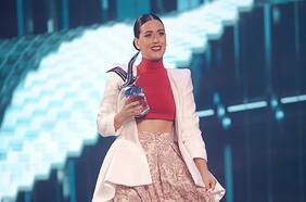 El protagónico rol de Ripamonti en la Quinta Vergara abrió debate en el concejo de Viña del Mar