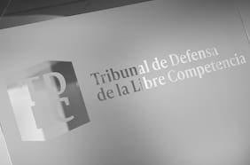 Mineduc busca revertir admisibilidad a reclamo de universidades privadas en el TDLC por aportes estatales