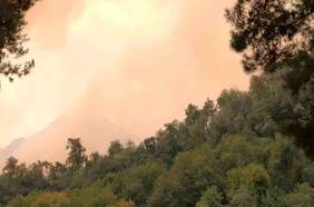 Fiscalía investigará presunta intencionalidad en incendio que amenaza parque Siete Tazas