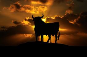 ¿Qué es la taurina? Un estudio publicado en Science asegura que puede retrasar el envejecimiento