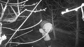 Operación Diesel: Detienen a banda dedicada al robo de combustible en Renaico