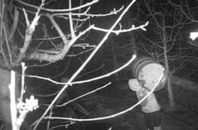 Operación Diesel: Detienen a banda dedicada al robo de combustible en Renaico