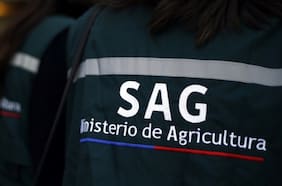 Funcionarios del SAG anuncian movilización nacional por acuerdos incumplidos: paralización afectaría exportaciones