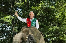 Horst Paulmann y los años tempranos del imperio del elefante