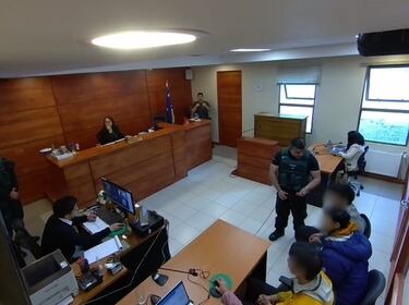 Japoneses que encendieron fogatas en Torres del Paine no podrán volver a Chile en tres años