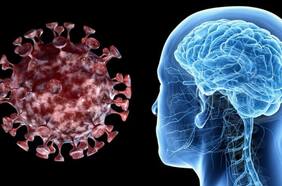 Científicos detectan cómo el coronavirus ataca las neuronas y provoca niebla mental
