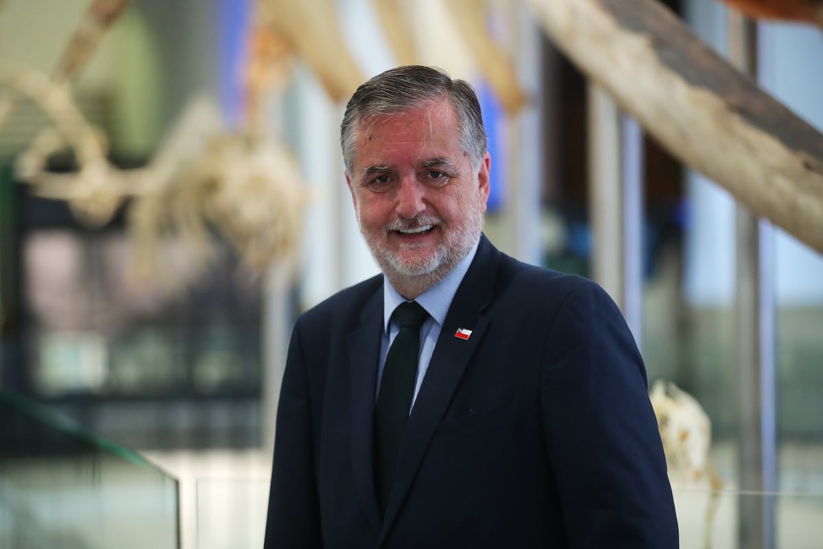 Presupuesto Cultura 2027: recorte de 10,1% y $49 mil millones menos para arte y patrimonio