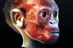 ¿Desde cuándo los humanos comen carne? Hace 3 millones de años nuestros ancestros eran vegetarianos