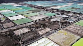 Volumen exportado de litio crece 25% el primer trimestre y expertos prevén que se superen las 300 mil toneladas en 2026