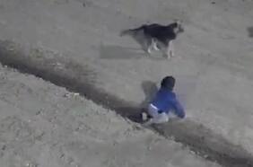 Rescatan a un bebé que gateaba solo por las calles de madrugada