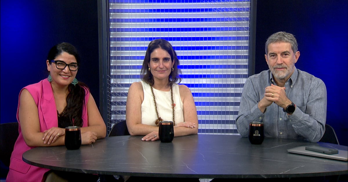 Inclusión en Chile: avances y tensiones en educación y empleo para personas con discapacidad