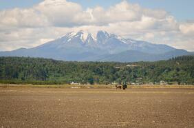Rescatan cuerpo de excursionista fallecido durante descenso en el volcán Calbuco
