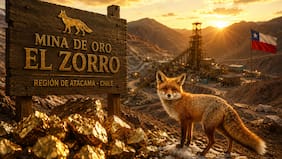 Tiene 2 millones de onzas de oro puro: El Zorro, el millonario proyecto en la costa de Atacama
