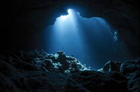 La misteriosa criatura marina con 20 brazos que fue descubierta cerca de la Antártida