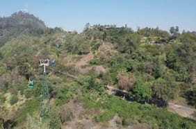 Parquemet celebra el Día del Niño con más de 10 actividades gratuitas en Santiago: Zoo Nacional, conciertos y búsqueda del tesoro
