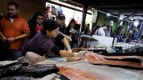 FAO: Chile es el quinto mayor actor mundial de la pesca y acuicultura, y se proyecta alza de 13% en próxima década