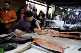 FAO: Chile es el quinto mayor actor mundial de la pesca y acuicultura, y se proyecta alza de 13% en próxima década