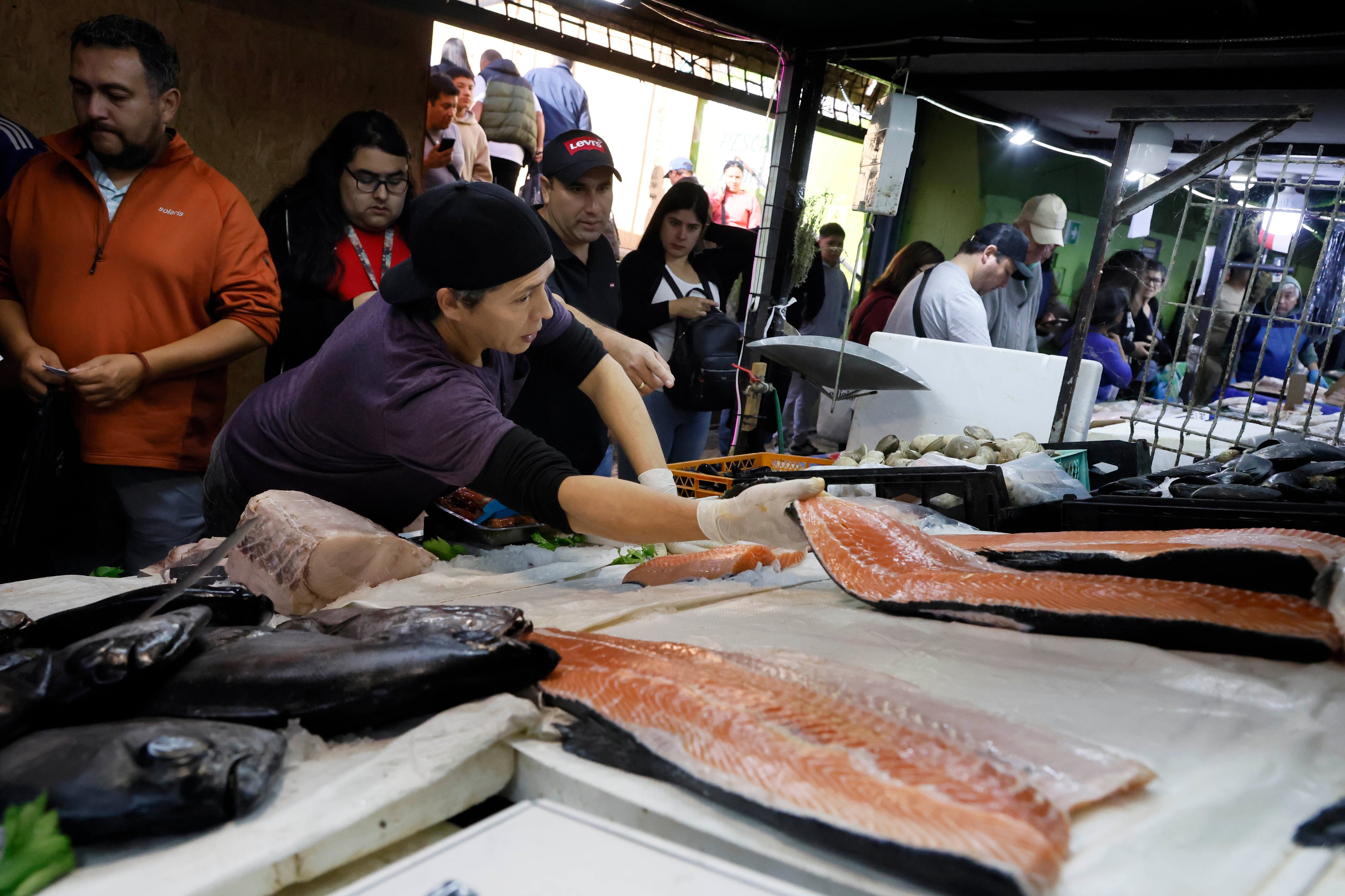 FAO: Chile es el quinto mayor actor mundial de la pesca y acuicultura, y se proyecta alza de 13% en próxima década
