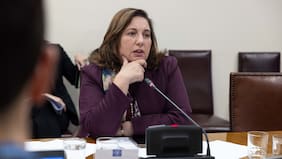 Vodanovic baja el pulgar a salvataje de proyecto de Arrau y exige condiciones para una nueva reforma de seguridad