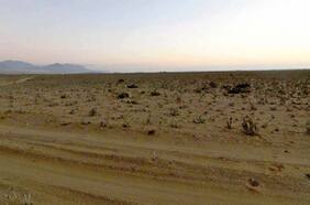 ONG Oceana espera que Comité de Ministros rechace proyecto minero Dominga