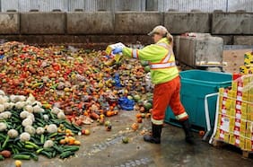Encuesta sobre el Desperdicio de Alimentos indica que el pan, las frutas y las verduras son los más desechados por los chilenos