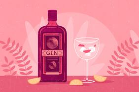 Guía del gin: 8 opciones para distintos gustos y presupuestos